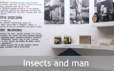Exhibition insects and man