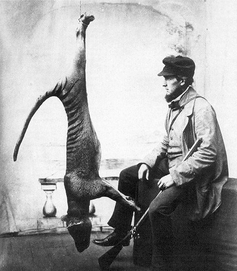 Myśliwy z martwym wilkiem workowatym; 1869 r.